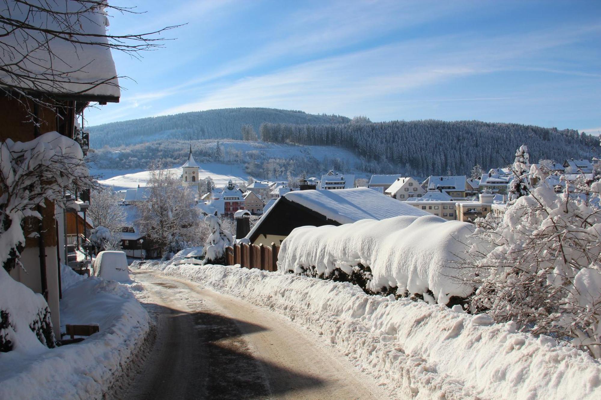 Ferienwohnung Sommerberg, Lenzkirch, 2 Schlafzimmer Bagian luar foto